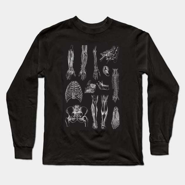 Vintage human anatomy pattern Long Sleeve T-Shirt by Dr.Bear